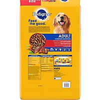 Pedigree Dog Food Dry For Adult Complete Nutrition Grilled Steak & Vegetable - 20.4 Lb - Image 5