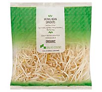 Sprout Bean Poly Organic - 9 Oz