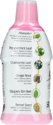 Lily Of The Desert Stomach Formula Fresh Mint Taste - 32 Fl. Oz. - Image 4