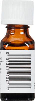 Aura Cacia Rose Absolute in Jojoba Oil - .5 Fl. Oz. - Image 5