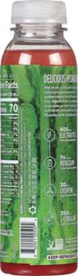 Wtmln Wtr Cold Pressed Chilled Juice - 12 Fl. Oz. - Image 6