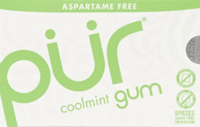 Prgum Gum Coolmint Sugar-Free - 9 Count - Image 1