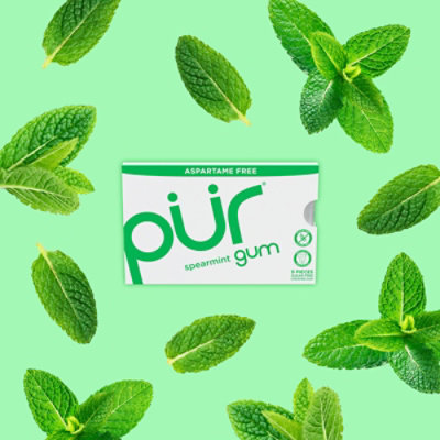 PUR Gum Spearmint Aspartame Free - 9 Count - Image 3
