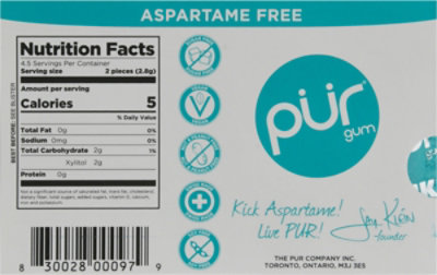 Prgum Gum Wintergreen Sugar-Free - 9 Count - Image 5