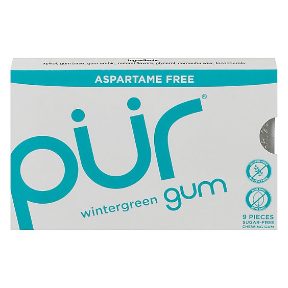 Prgum Gum Wintergreen Sugar-Free - 9 Count