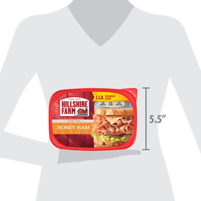 Hillshire Farm Ultra Thin Sliced Lunchmeat Honey Ham Family Size - 16 Oz - Image 5