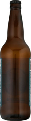 Boundary Bay Ipa In Bottles - 22 Fl. Oz. - Image 4