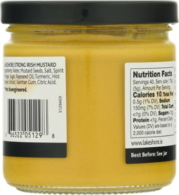 Lakeshore Mustard Strong Irish - 7.76 Oz - Image 6