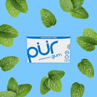 PUR Gum Peppermint Aspartame Free - 9 Count - Image 3