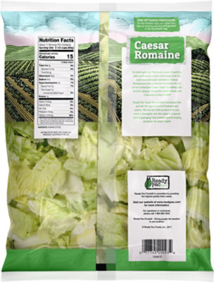 Ready Pac Family Size Caesar Romaine Salad Bag - 32 Oz - Image 5