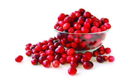 Fresh Cut Cranberry Bowl - 16 Oz