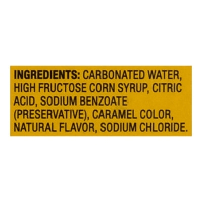 Dr Brown Soda-Cans-Ginger Ale - 6-12 Fl. Oz. - Image 4