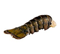 Seafood Counter Lobster Tail Previously Frozen 20 to 24 Oz - 1.50 LB