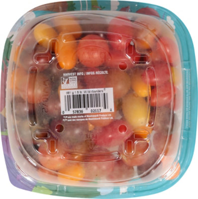 Wild Wonders Tomatoes Bowl - 1.5 Lb - Image 4