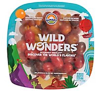 Wild Wonders Tomatoes Bowl - 1.5 Lb