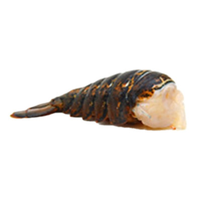 Seafood Counter Lobster Tail Raw 7 Ounce - 1.50 LB