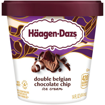 Haagen-Dazs Ice Cream Destination Series belgian chocolate - 14 Fl. Oz. - Image 2