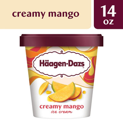 Haagen-Dazs Ice Cream Destination Series mango - 14 Fl. Oz. - Image 3