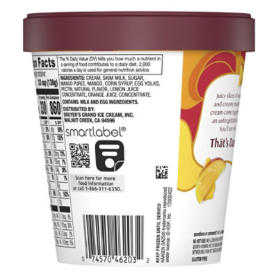 Haagen-Dazs Ice Cream Destination Series Creamy Mango Ice Cream - 14 Fl. Oz. - Image 6