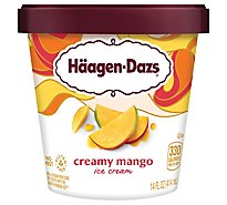 Haagen-Dazs Ice Cream Destination Series mango - 14 Fl. Oz.
