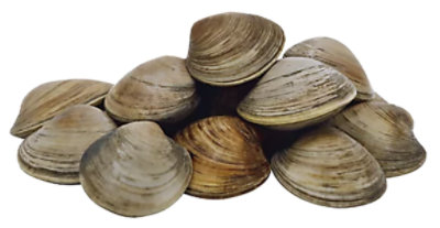Seafood Counter Clams Littleneck Live - 1.50 LB
