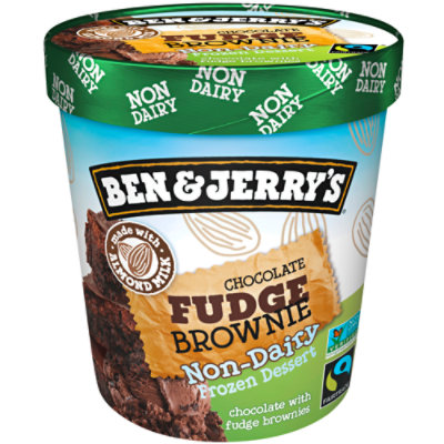 Ben & Jerry's Chocolate Fudge Brownie Non-Dairy Frozen Dessert - 16 oz - Image 1