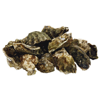 Oysters Kumamoto 1 Oz Fresh 1 Count - Each