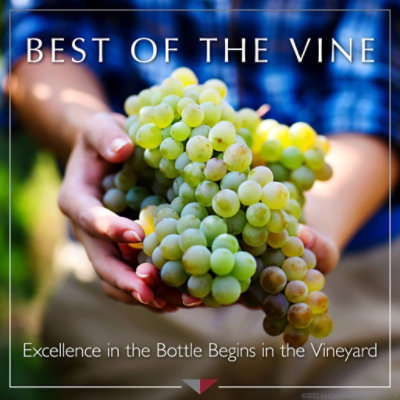 La Crema Russian River Valley Chardonnay White Wine - 750 Ml - Image 1