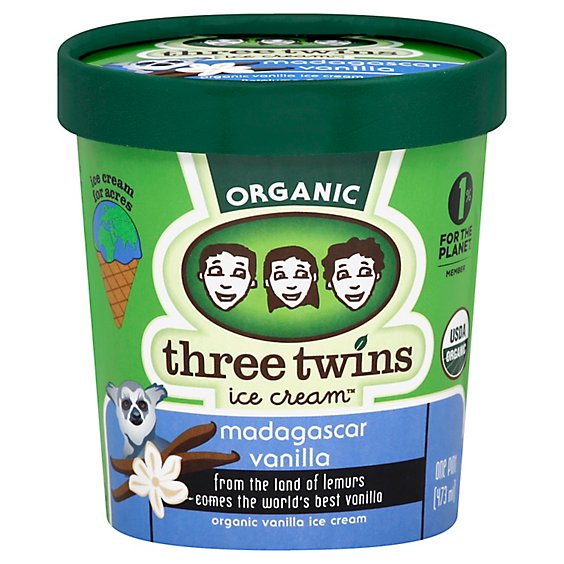 Three Twins Ice Cream Madagascar Vanilla - 1 Pint
