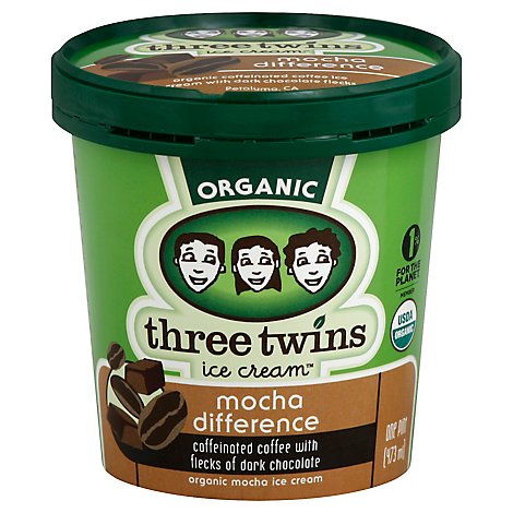 Three Twins Mocha Differnce Ice Cream Organic - Pint