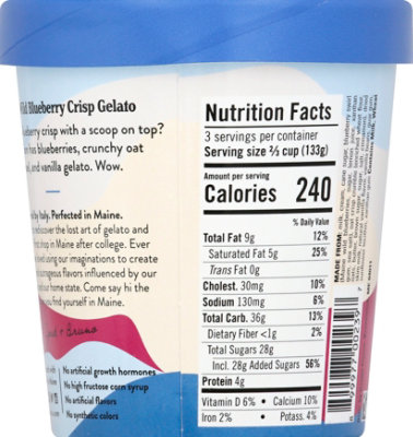 Gelato Fiasco Gelato Maine Wild Blueberry Crisp - 1 Pint - Image 3