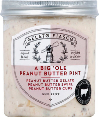 Gelato Fiasco Gelato Pntbtr Stacciatell - 1 Pint - Image 2