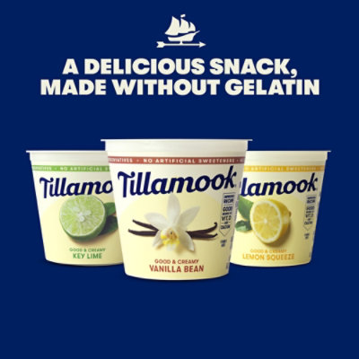 Tillamook Lemon Squeeze Low Fat Yogurt - 6 Oz - Image 3