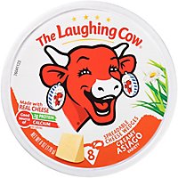 The Laughing Cow Creamy Asiago Cheese Spread - 6 Oz - Image 1
