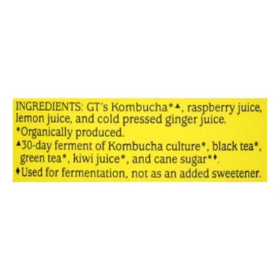 GT‘s Synergy Trilogy Raw Kombucha - 48 Fl. Oz. - Image 5