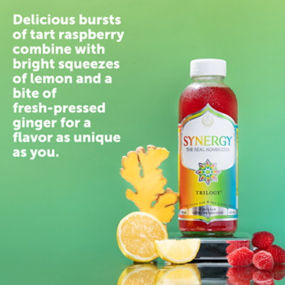 Synergy The Real Kombucha Trilogy - 48 Fl. Oz. - Image 2