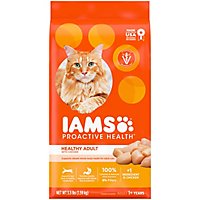 IAMS Proactive Health Chicken Adult Healthy Dry Cat Food - 3.5 Lb - Image 1