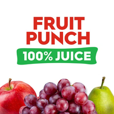 Mott's 100% Juice Fruit Punch Juice, 8 fl oz, 6 Count Bottles 