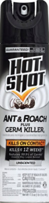 Hot Shot Ant & Roach Killer Unscented Aerosol - Each - Image 1