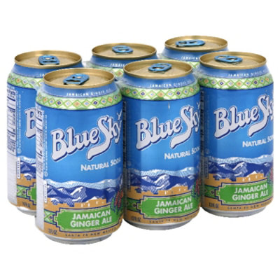 Blue Sky Natural Soda Jamaican Ginger Ale - 6-12 Fl. Oz.