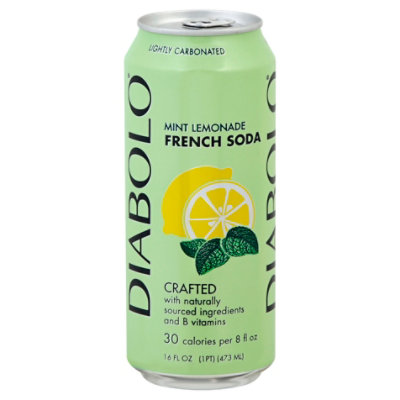 Diabolo Soda Mint Lemonade Natural - 16 Fl. Oz. - Image 1