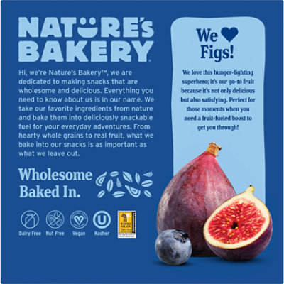 Natures Bakery Fig Bar Stone Ground Whole Wheat Blueberry - 6-2 Oz - Image 2