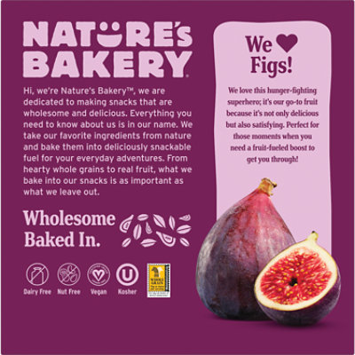 Natures Bakery Fig Bar Stone Ground Whole Wheat Original Fig - 6-2 Oz - Image 4
