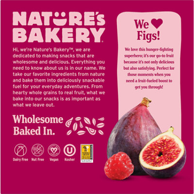 Natures Bakery Fig Bar Stone Ground Whole Wheat Raspberry - 6-2 Oz - Image 3