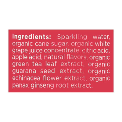 GURU Organic Original Energy Drink - 12 Fl. Oz. - Image 4