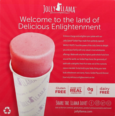Jolly Llama Raspberry Sorbet Pops - 4-3 Fl. Oz. - Image 6