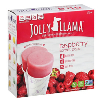 Jolly Llama Sorbet Squeezups Raspberry Dairy Free 90 Fat Free Calorie - 12 Fl. Oz.