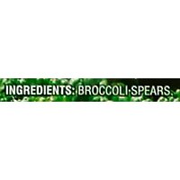 Signature SELECT Broccoli Spears - 16 Oz - Image 4