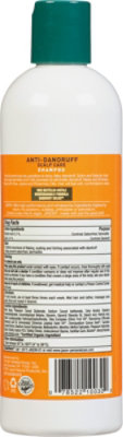 Jason Shampoo Dandruff Relief - 12.0 Oz - Image 5