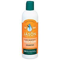 Jason Shampoo Dandruff Relief - 12.0 Oz - Image 1